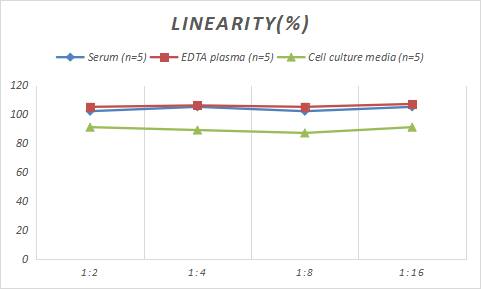 Rabbit APP ELISA Kit (Colorimetric)