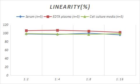Rabbit Abeta 40 ELISA Kit (Colorimetric)