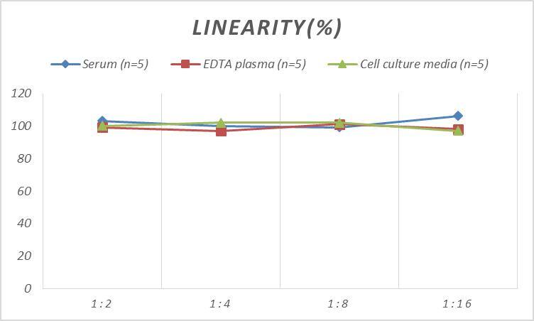 Monkey Cathepsin B ELISA Kit (Colorimetric)