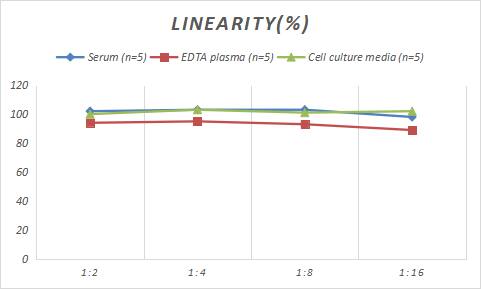 Porcine Gastrin ELISA Kit (Colorimetric)