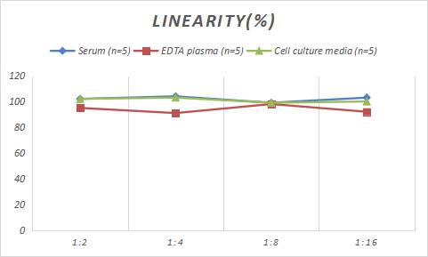 Sheep Ferritin ELISA Kit (Colorimetric)