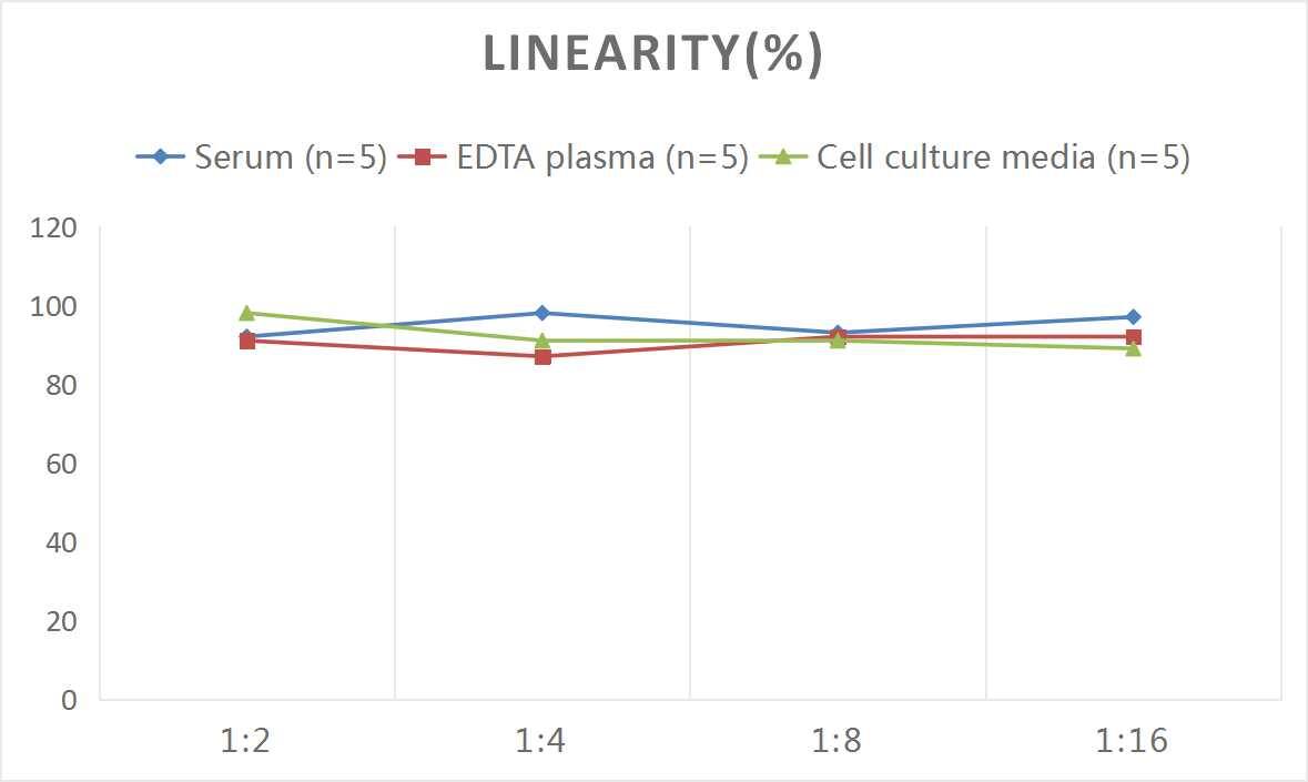 Human Siglec-3/CD33 ELISA Kit (Colorimetric)