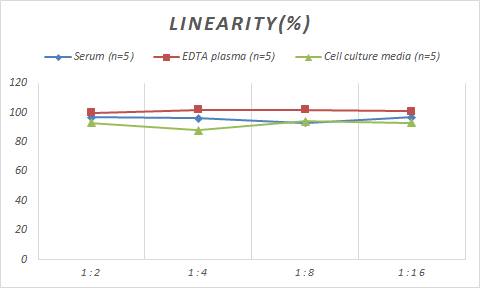 Monkey MBP ELISA Kit (Colorimetric)