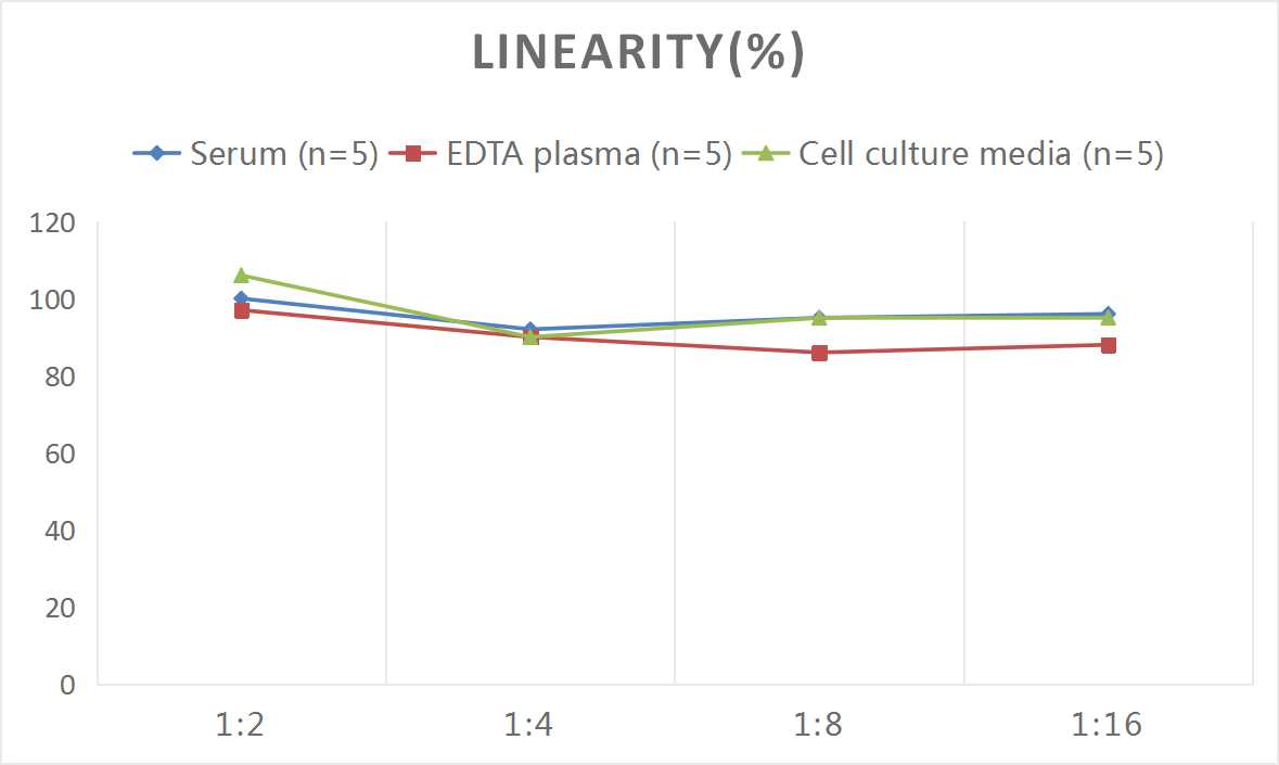 Mouse FGL2/Fibroleukin ELISA Kit (Colorimetric)