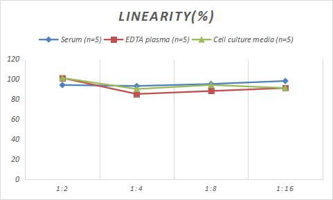 Rat FLAP ELISA Kit (Colorimetric)