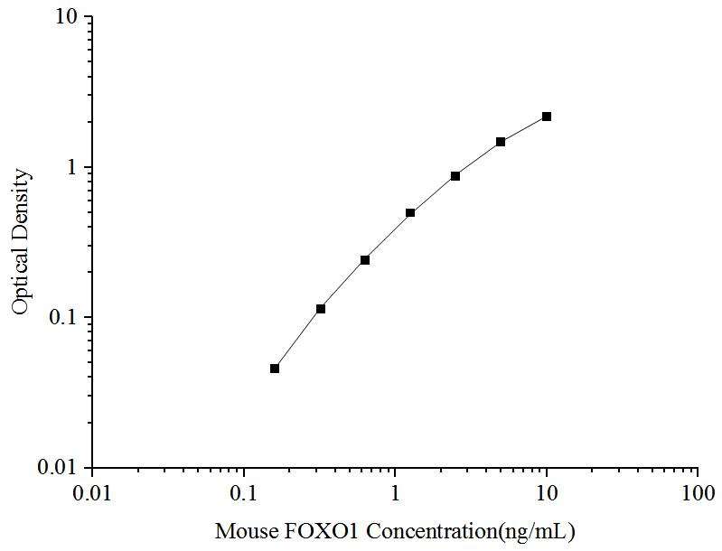 Mouse FoxO1/FKHR ELISA Kit (Colorimetric)