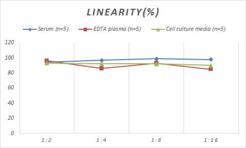 Mouse FoxO1/FKHR ELISA Kit (Colorimetric)