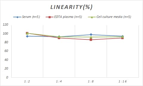 Human FSH beta ELISA Kit (Colorimetric)