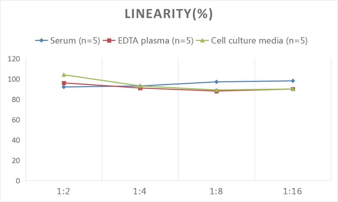 Human Ferritin Heavy Chain ELISA Kit (Colorimetric)