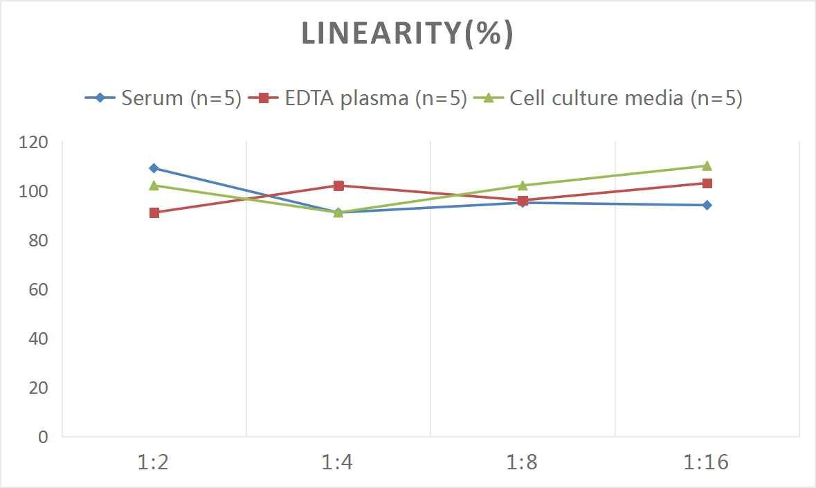 Mouse IgA Secretory Chain ELISA Kit (Chemiluminescence)