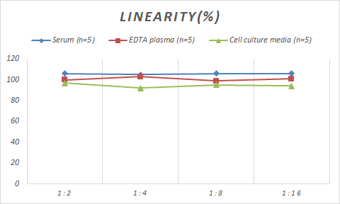 Monkey Serpin G1/C1 Inhibitor ELISA Kit (Colorimetric)