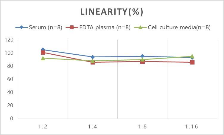 Rat GFAP ELISA Kit (Colorimetric)