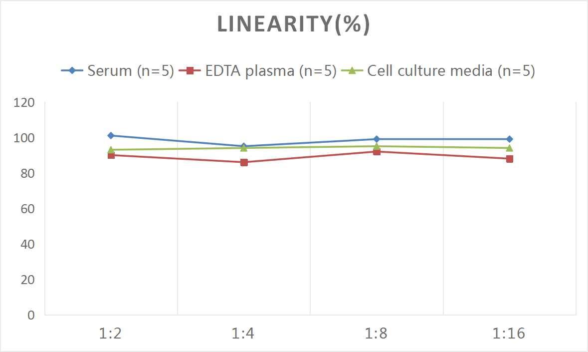 Mouse GFAP ELISA Kit (Colorimetric)