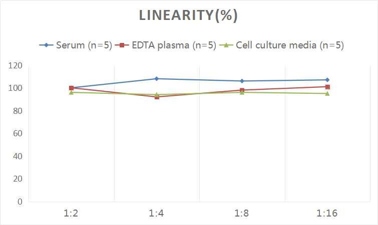 Rat GFAP ELISA Kit (Chemiluminescence)