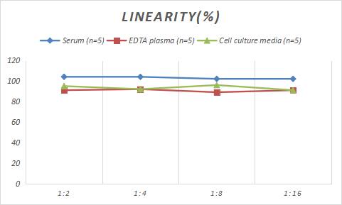 Sheep GFAP ELISA Kit (Colorimetric)