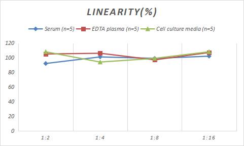 Mouse GGT1 ELISA Kit (Chemiluminescence)