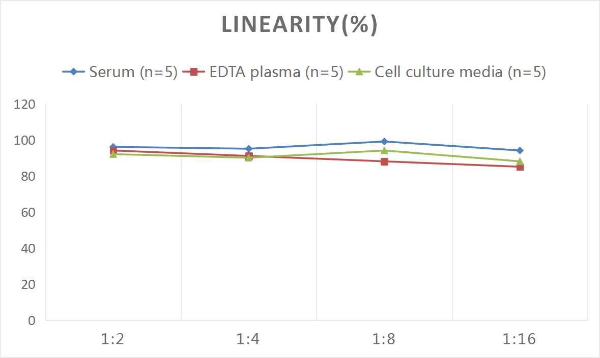 Mouse GGT1 ELISA Kit (Colorimetric)