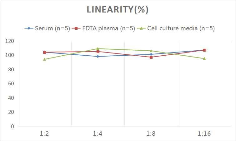 Rat Growth Hormone ELISA Kit (Chemiluminescence)