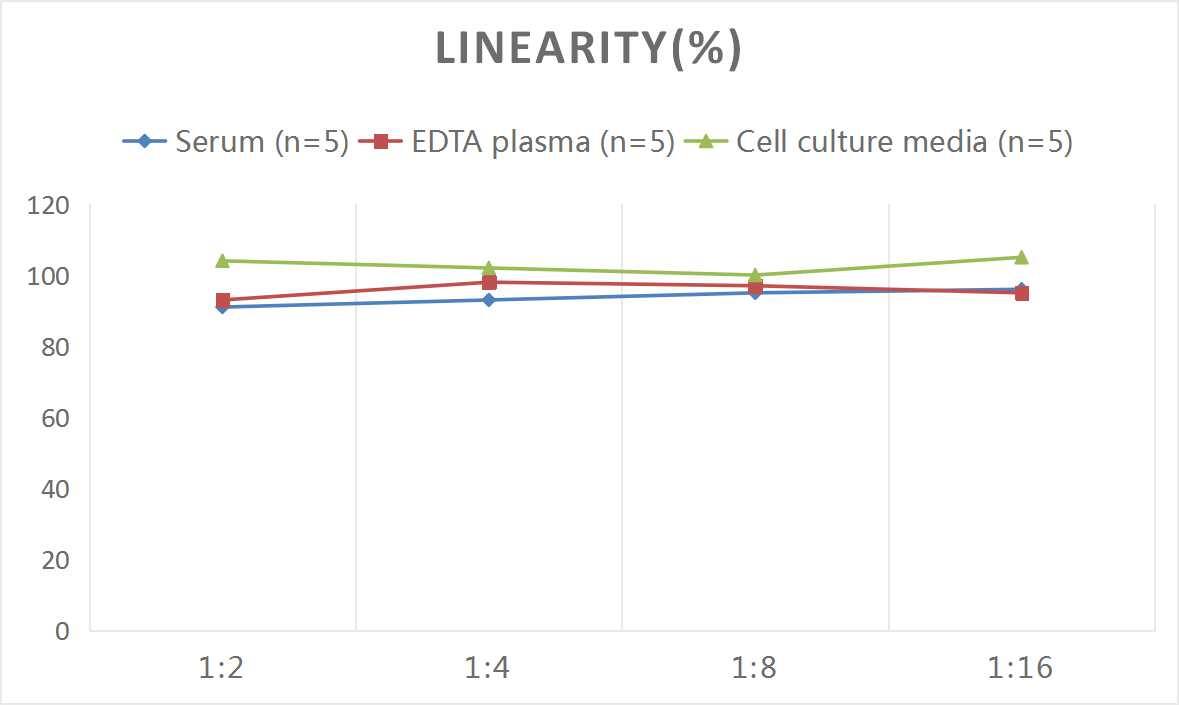 Rat Ghrelin ELISA Kit (Colorimetric)