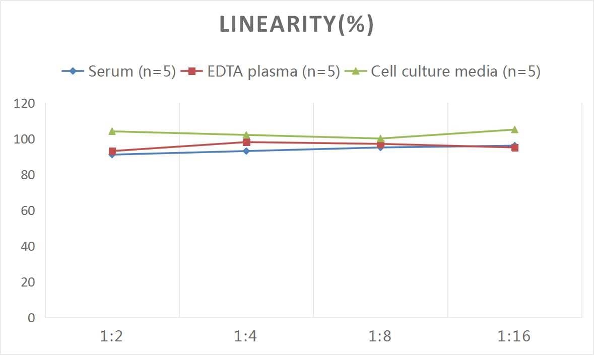 Rat Ghrelin ELISA Kit (Colorimetric)
