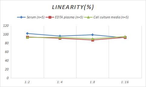 Rat Glut1 ELISA Kit (Colorimetric)