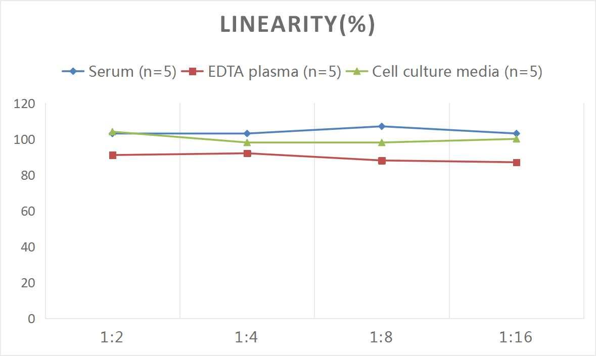 Human CXCL3/GRO gamma/CINC-2/DCIP-1 ELISA Kit (Colorimetric)