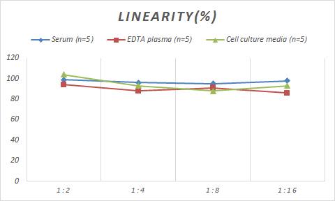 Mouse beta-Glucuronidase/GUSB ELISA Kit (Colorimetric)