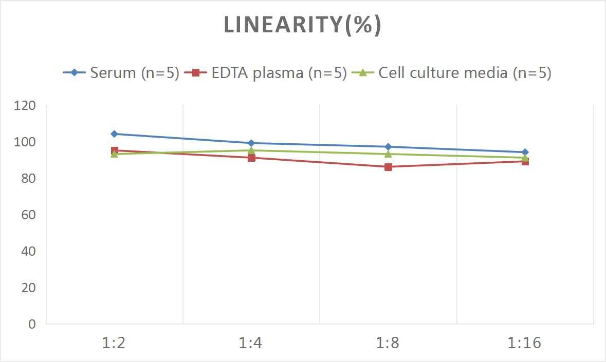 Rat beta-Glucuronidase/GUSB ELISA Kit (Colorimetric)