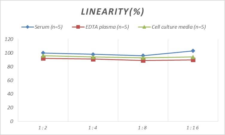 Monkey Granzyme A ELISA Kit (Colorimetric)