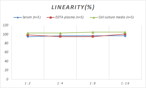 Monkey Granzyme K ELISA Kit (Colorimetric)