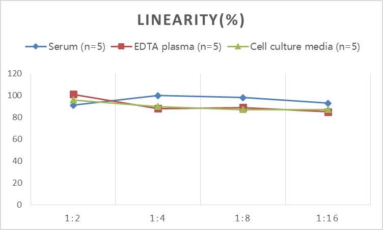 Human Hip ELISA Kit (Colorimetric)