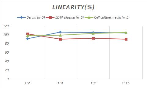 Rat HIF-1 alpha ELISA Kit (Colorimetric)