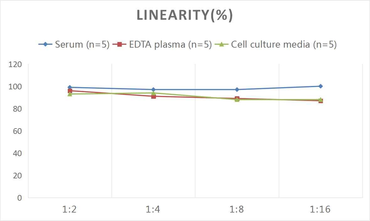 Mouse HIF-2 alpha/EPAS1 ELISA Kit (Colorimetric)