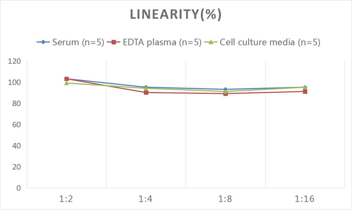 Rat HO-1/HMOX1/HSP32 ELISA Kit (Colorimetric)