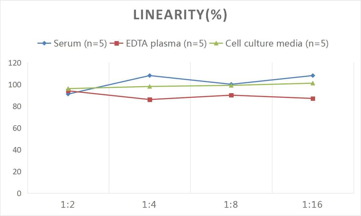 Human GRP75/HSPA9B/Mortalin ELISA Kit (Colorimetric)