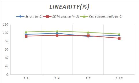 Sheep IgA ELISA Kit (Colorimetric)