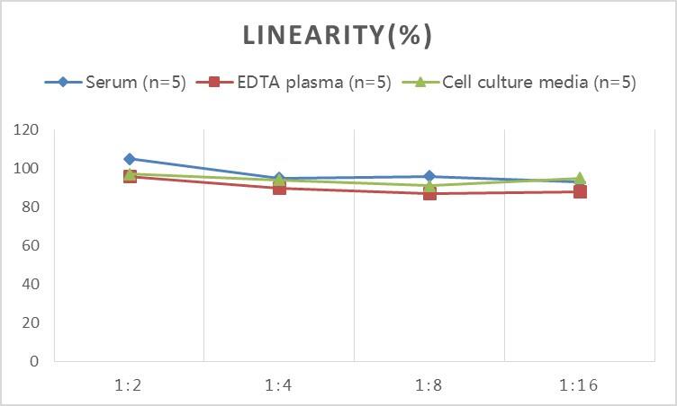 Rat Lactate Dehydrogenase A/LDHA ELISA Kit (Colorimetric)