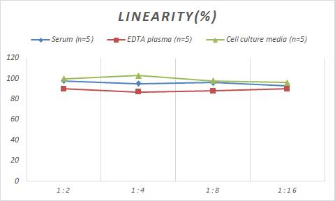 Monkey IL-11 ELISA Kit (Colorimetric)