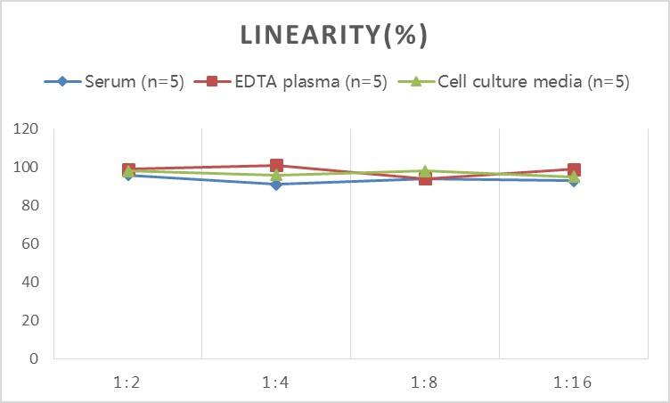 Porcine IL-12 ELISA Kit (Colorimetric)