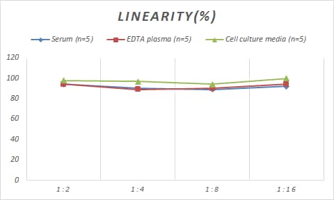 Monkey IL-13 ELISA Kit (Colorimetric)