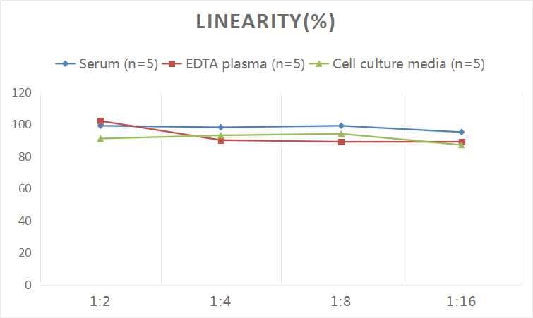Human IL-23 ELISA Kit (Colorimetric)