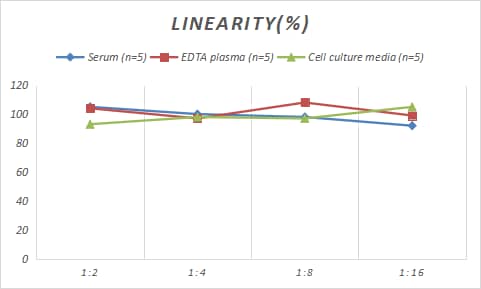 Human IL-23 ELISA Kit (Chemiluminescence)