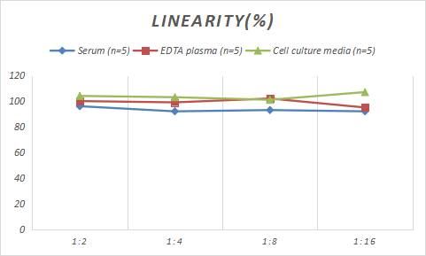 Sheep IL-6 ELISA Kit (Colorimetric)