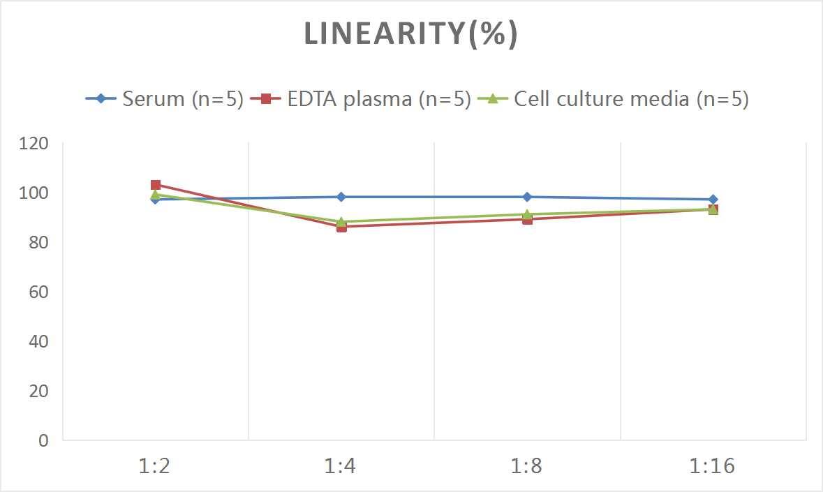 Mouse PTH ELISA Kit (Colorimetric)