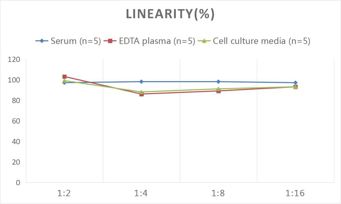 Mouse PTH ELISA Kit (Colorimetric)