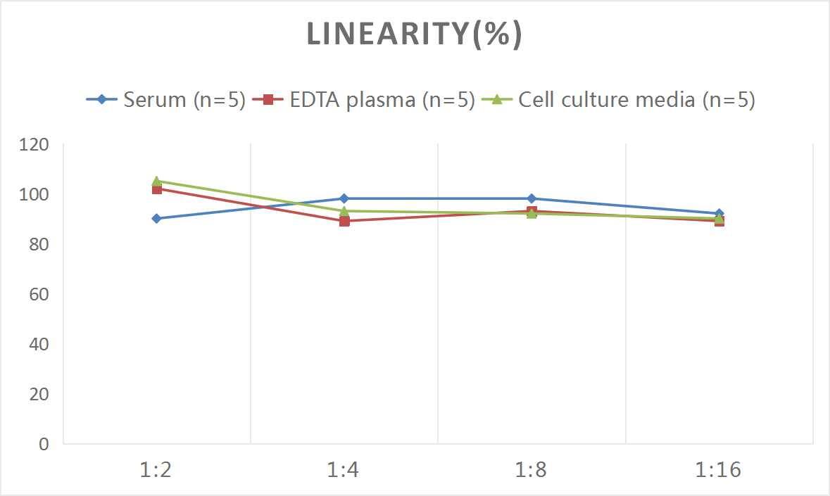Monkey PTH ELISA Kit (Colorimetric)