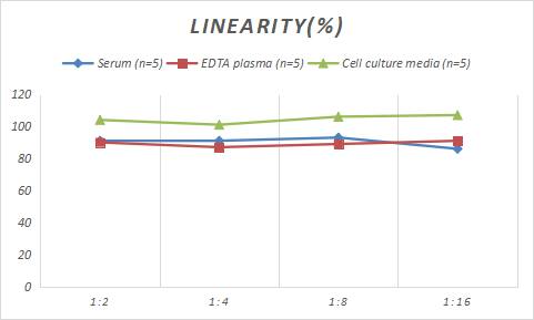 Rabbit PTH ELISA Kit (Colorimetric)