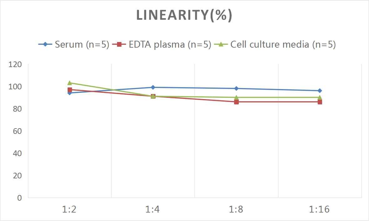 Mouse IRF5 ELISA Kit (Colorimetric)