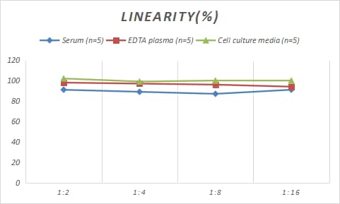 Rabbit TIM-1/KIM-1/HAVCR ELISA Kit (Colorimetric)