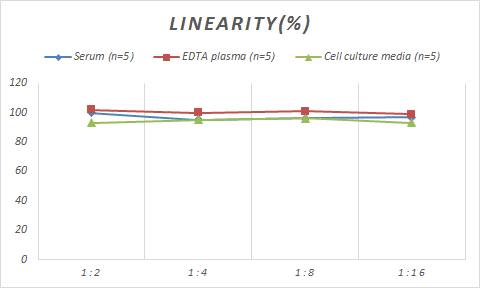 Porcine LDL ELISA Kit (Colorimetric)